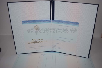 Диплом о Высшем Образовании 2024г СпецБланк в Якутске