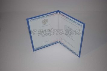 Аттестат За 11 Класс 2022г ГОЗНАК в Якутске