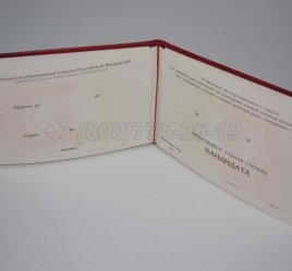 Диплом Кандидата Наук 2023г в Якутске