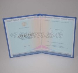 Аттестат За 11 Класс 2022г СпецБланк в Якутске