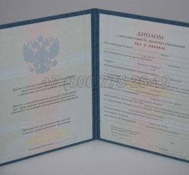 Диплом MBA 2023г в Якутске